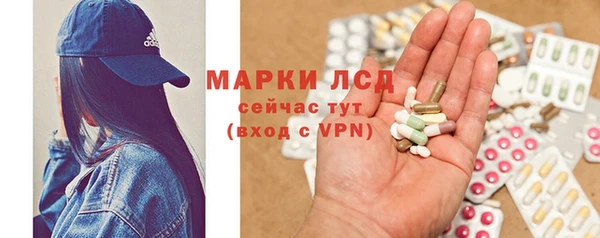 крисы Армянск